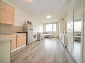 Prodej bytu 1+kk, Praha - Žižkov, Na Jarově, 25 m2