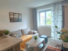 Pronájem bytu 1+kk, Brno, Srbská, 25 m2