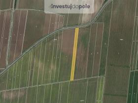 Prodej pole, Strachotín, 4997 m2