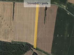 Prodej pole, Nová Telib, 16716 m2