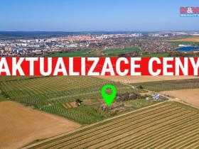 Prodej zahrady, Dobšice, 2462 m2