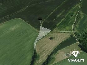 Prodej pole, Tachlovice, 5421 m2