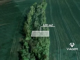 Prodej lesa, Syrovín, 320 m2