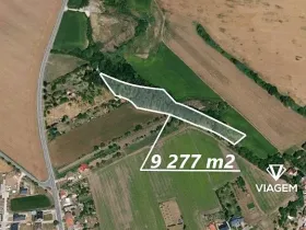 Prodej podílu lesa, Charváty, 1159 m2