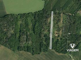 Prodej podílu lesa, Lukovany, 5770 m2