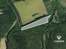Prodej podílu lesa, Nedachlebice, 939 m2