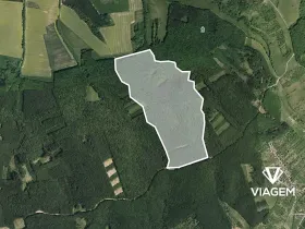 Prodej podílu lesa, Nedachlebice, 11622 m2