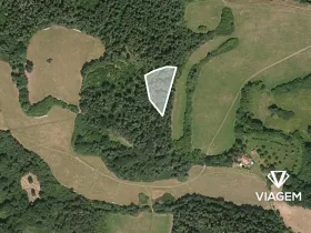 Prodej lesa, Pačejov, 2837 m2