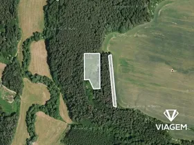 Prodej lesa, Libež, 3360 m2