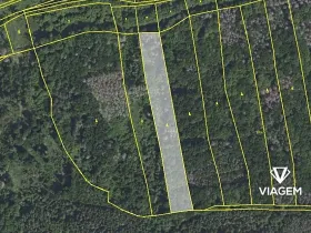 Prodej podílu lesa, Drahelčice, 3372 m2
