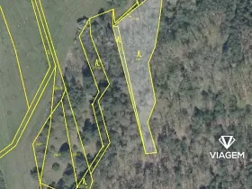 Prodej lesa, Švihov, 2192 m2