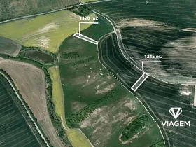 Prodej pole, Litenčice, 1120 m2