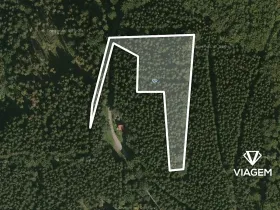 Prodej podílu lesa, Morávka, 4190 m2