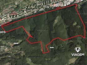 Prodej podílu lesa, Vsetín, 6855 m2