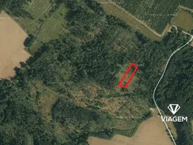 Prodej podílu lesa, Vilémov, 696 m2