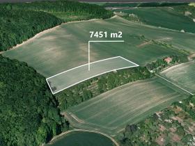 Prodej podílu pole, Letonice, 2980 m2