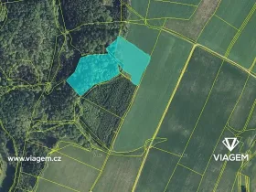 Prodej podílu lesa, Vševily, 1467 m2