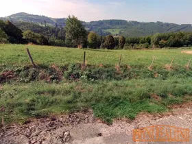 Prodej pozemku pro bydlení, Vyškovec, 4000 m2