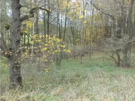 Dražba pozemku, Horní Stropnice, 2463 m2
