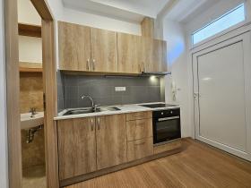 Pronájem bytu 1+kk, Brno, Cejl, 25 m2