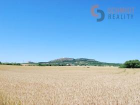 Prodej pole, Mikulov, 55004 m2