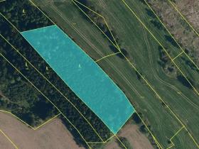 Prodej podílu lesa, Krásněves, 7152 m2