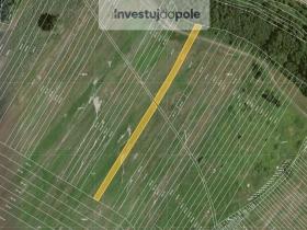 Prodej pole, Mikulčice, 1713 m2