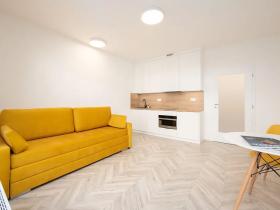 Pronájem bytu 1+kk, Brno, Cejl, 30 m2
