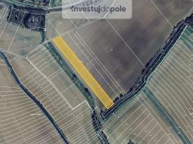 Prodej pole, Šelešovice, 1997 m2