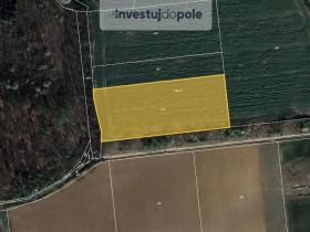 Prodej pole, Chýnice, 2550 m2