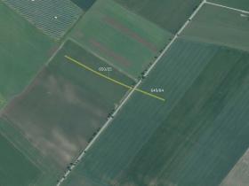 Prodej pole, Holasice, 3014 m2