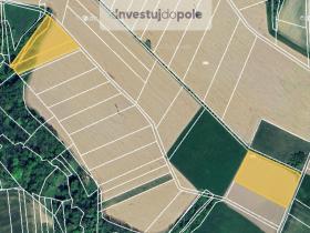Prodej pole, Závišice, 1986 m2