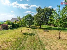 Prodej pozemku pro bydlení, Viničné Šumice, 3276 m2