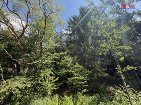 Prodej lesa, Opařany - Olší, 5323 m2