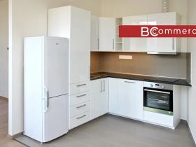 Pronájem bytu 2+kk, Brno, Křenová, 54 m2