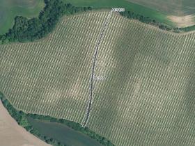 Prodej podílu sadu/vinice, Vracov, 613 m2