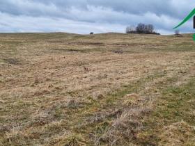 Prodej pole, Chodský Újezd, 387228 m2