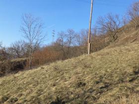 Prodej zahrady, Trmice, 3440 m2