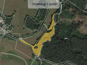 Prodej louky, Přimda - Málkov, 14133 m2