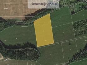 Prodej louky, Břasy - Vranovice, 11131 m2