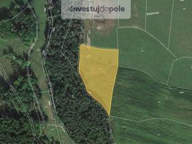 Prodej pole, Chanovice - Holkovice, 8479 m2