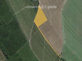 Prodej pole, Velká nad Veličkou, 2063 m2