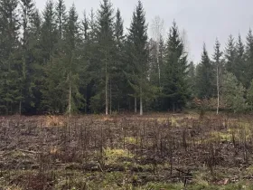 Prodej podílu pozemku, Veliny, 16991 m2