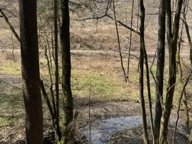 Prodej lesa, Ledeč nad Sázavou, 3240 m2