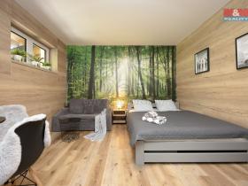 Prodej bytu 1+kk, Vrbno pod Pradědem, Žižkova, 31 m2