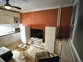 Pronájem bytu 1+kk, Most, U Věžových domů, 20 m2