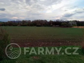 Prodej podílu pole, Úštěk, 68335 m2