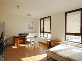 Prodej bytu 1+kk, Benešov, K Pazderně, 35 m2