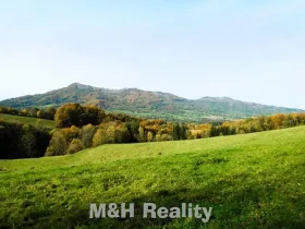 Prodej louky, Čeladná, 13031 m2