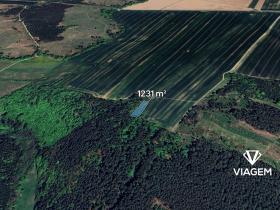 Prodej lesa, Svatoslav, 1231 m2